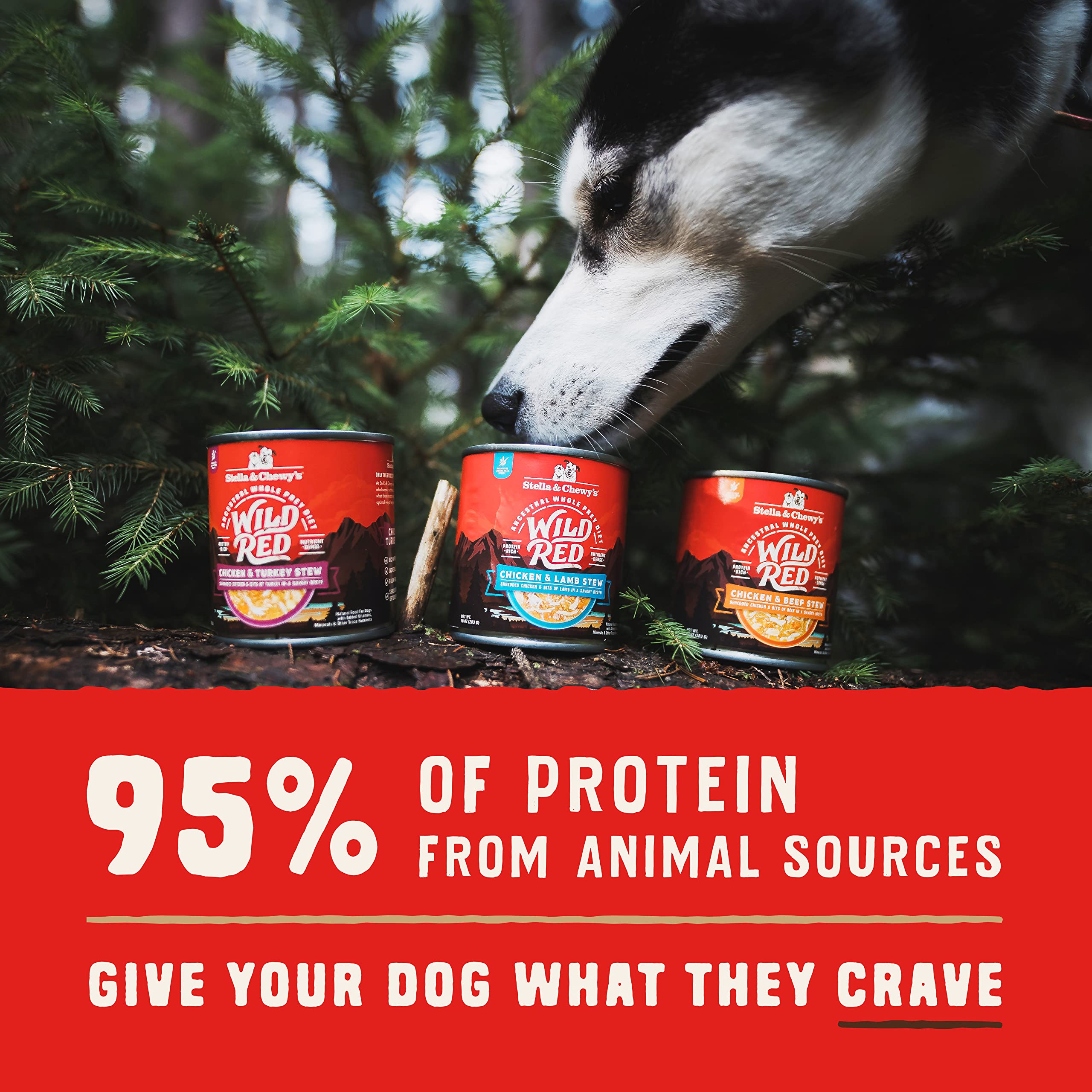 Stella & Chewy's Wild Red Stew Poulet et Dinde: texture appétissante et goût prononcé.
