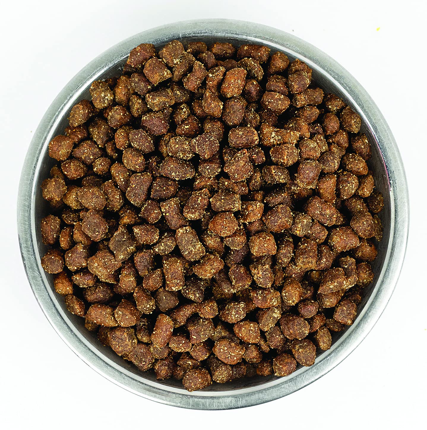 Chien dégustant Stella & Chewy's Wild Red, repas équilibré et savoureux.