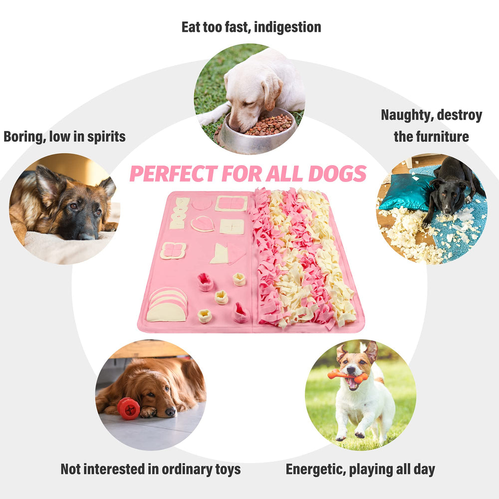 Stellaire Chern Snuffle Mat anti-glisse pour stabilité.