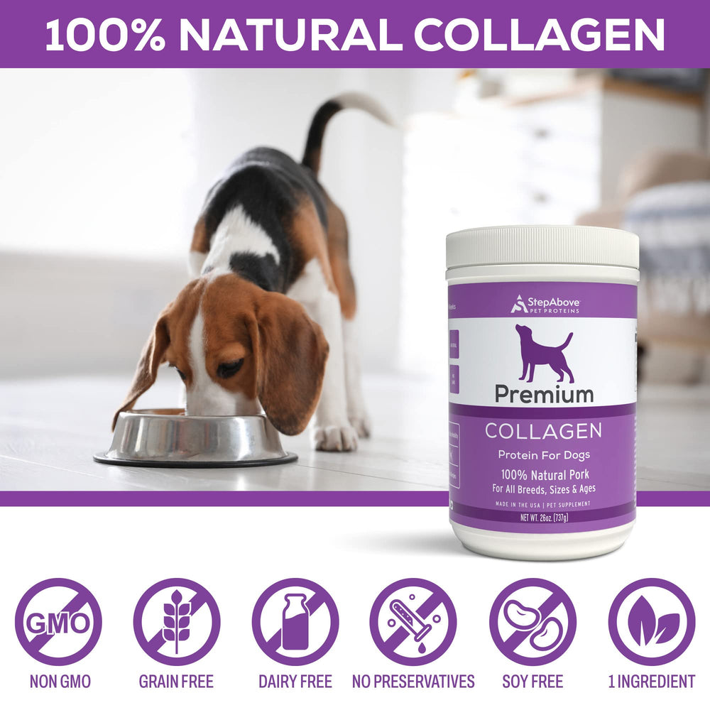 Step Above Proteins chien-heureux-apres-repas rend le repas plus appétissant.