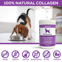 Step Above Proteins chien-heureux-apres-repas rend le repas plus appétissant.