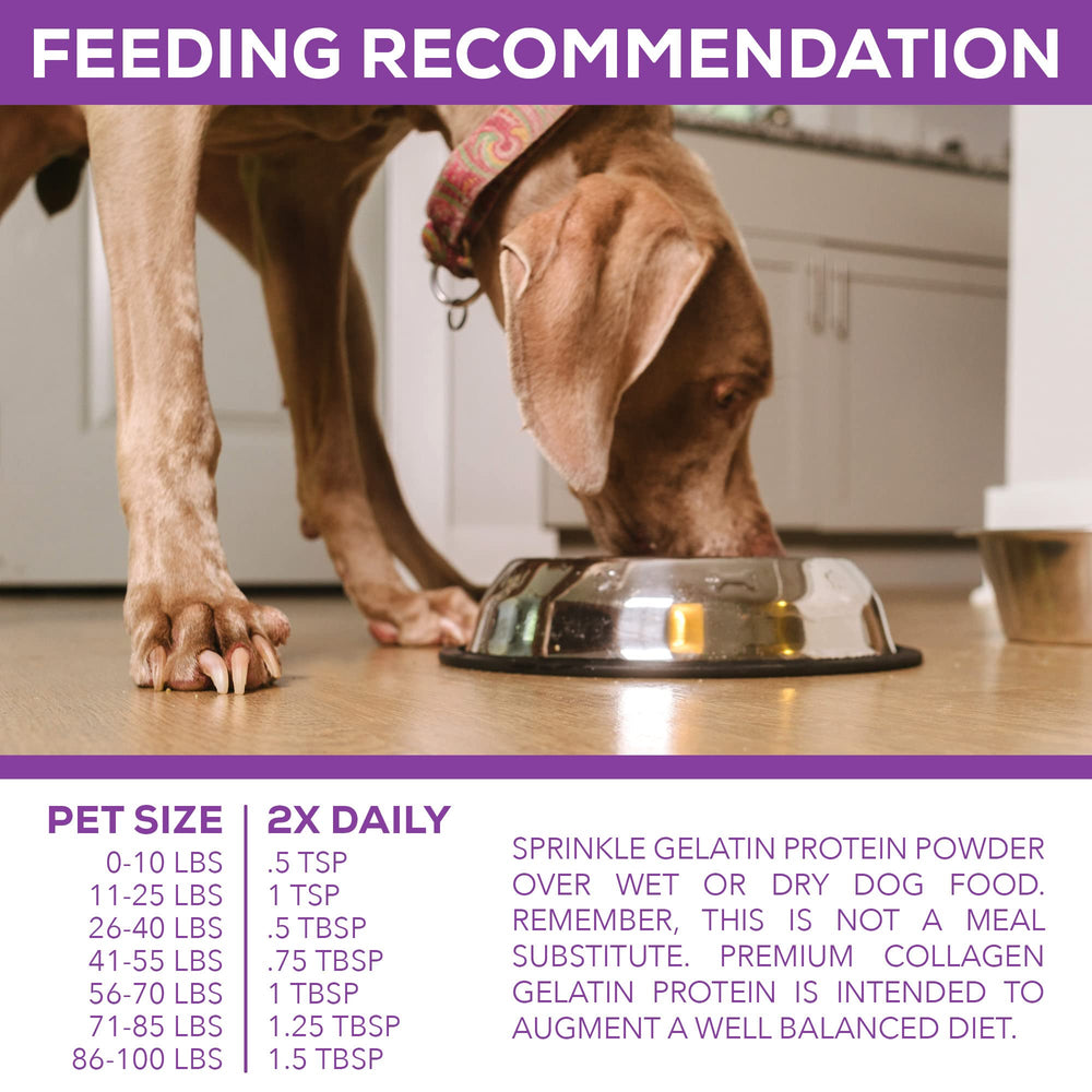 Étiquette Step Above Proteins: naturel et sans OGM, grain-free.