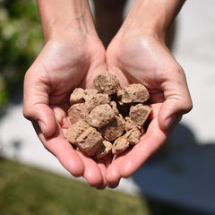 Steve's Real Food nuggets dinde: bol prêt à servir pour chiens et chats.