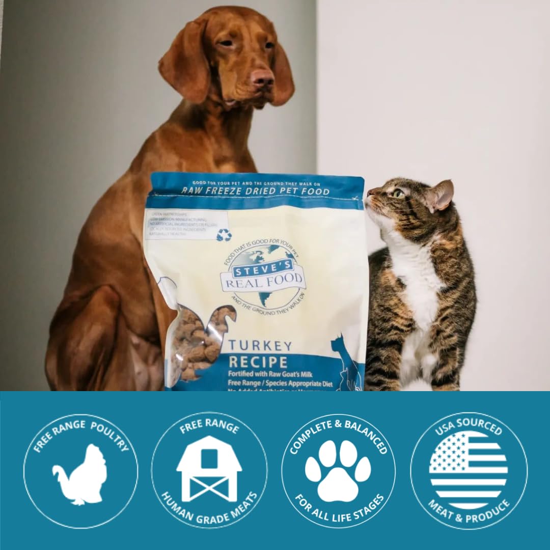 Chat explorant les nuggets dinde Steve's Real Food.