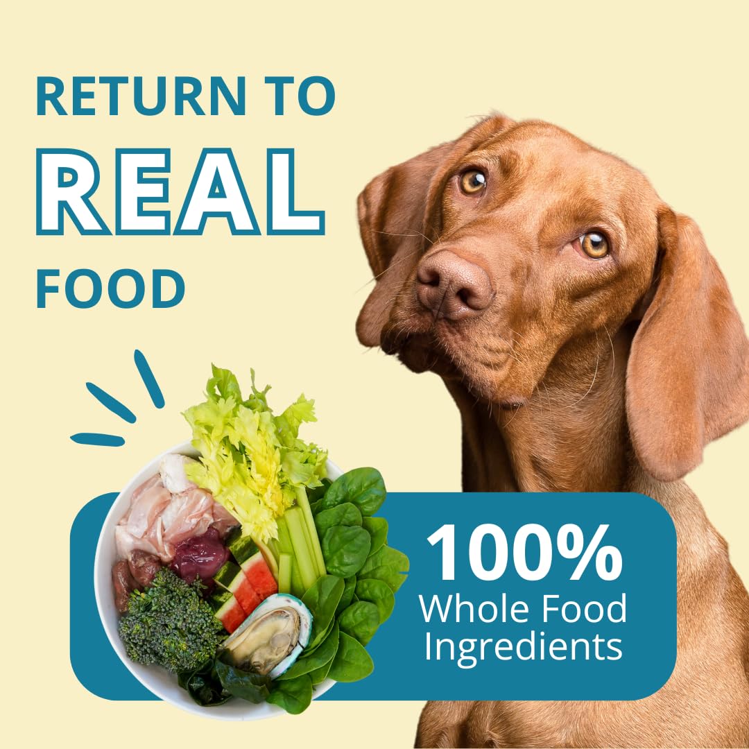Chien qui déguste les nuggets dinde Steve's Real Food.