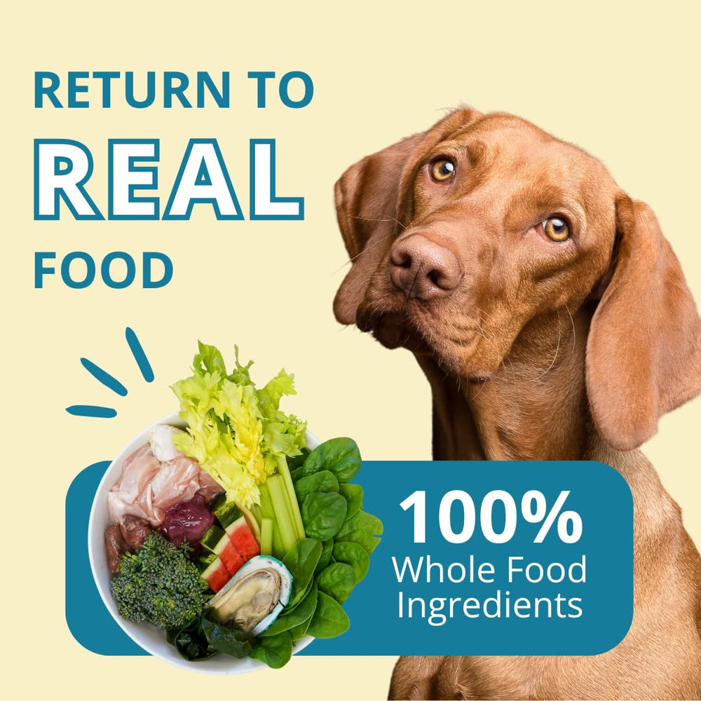 Chien qui déguste les nuggets dinde Steve's Real Food.