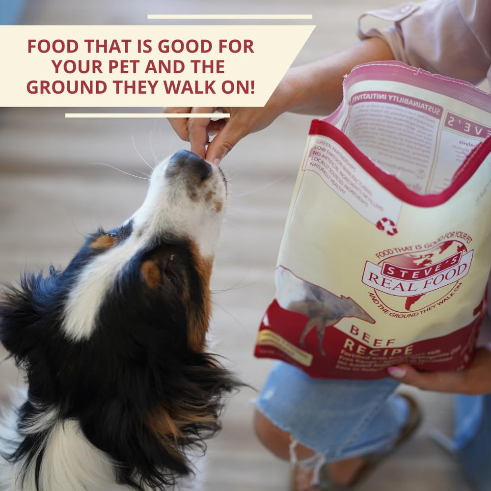 Steve's Real Food Nuggets boeuf lyophilisés convient chiens et chats de tous âges.