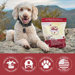 Steve's Real Food Nuggets boeuf lyophilisés en sachet pratique pour topper.