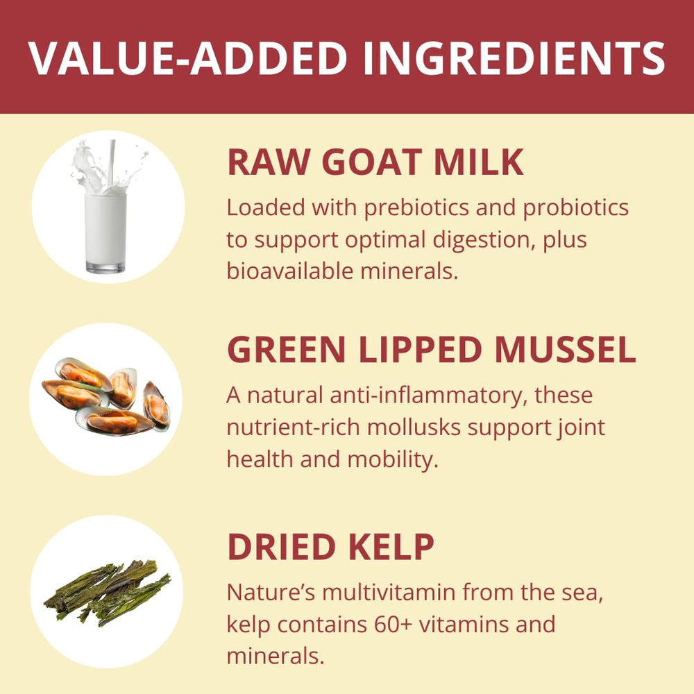 Steve's Real Food Nuggets boeuf lyophilisés servis comme friandise saine et savoureuse.