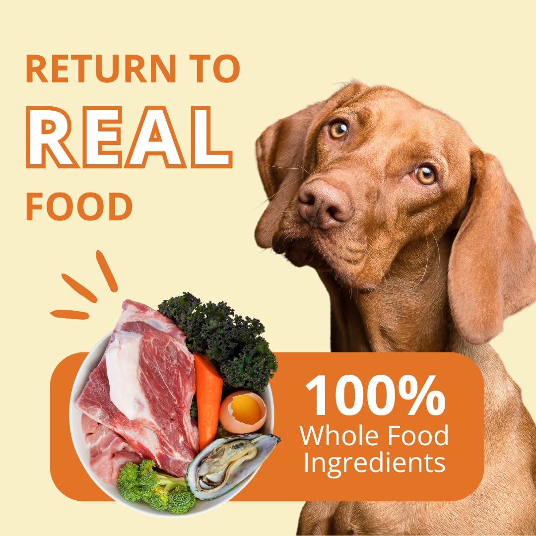 Steve's Real Food Nuggets porc ideal pour chiens et chats gourmands