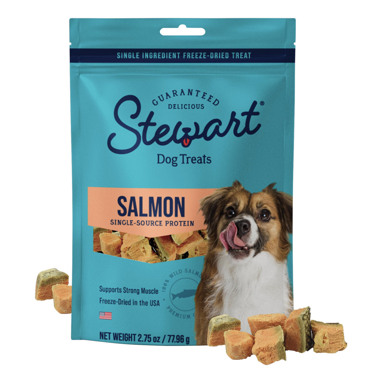 Stewart saumon sauvage lyophilisé dans un sachet pratique pour l entraînement