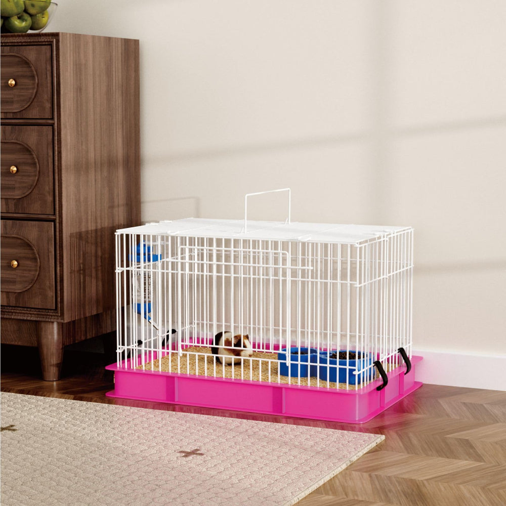 STILLCOVE assiette-nourriture-petits-animaux: mangeoire pratique et facile.