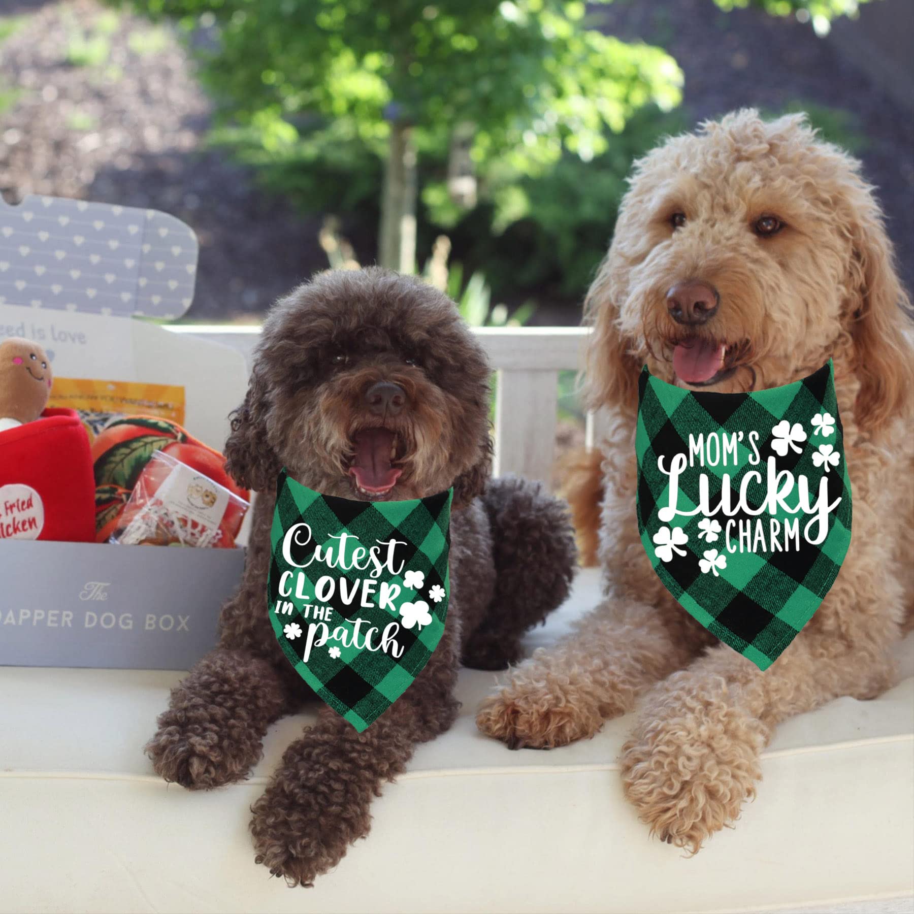 Bandana STMK Patrick vert – idée cadeau pour chien, Saint-Patrick.