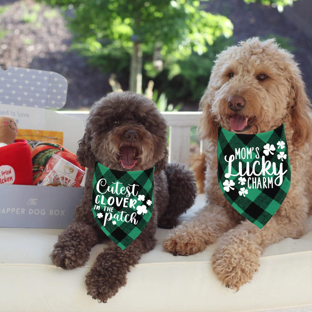 Bandana STMK Patrick vert – idée cadeau pour chien, Saint-Patrick.