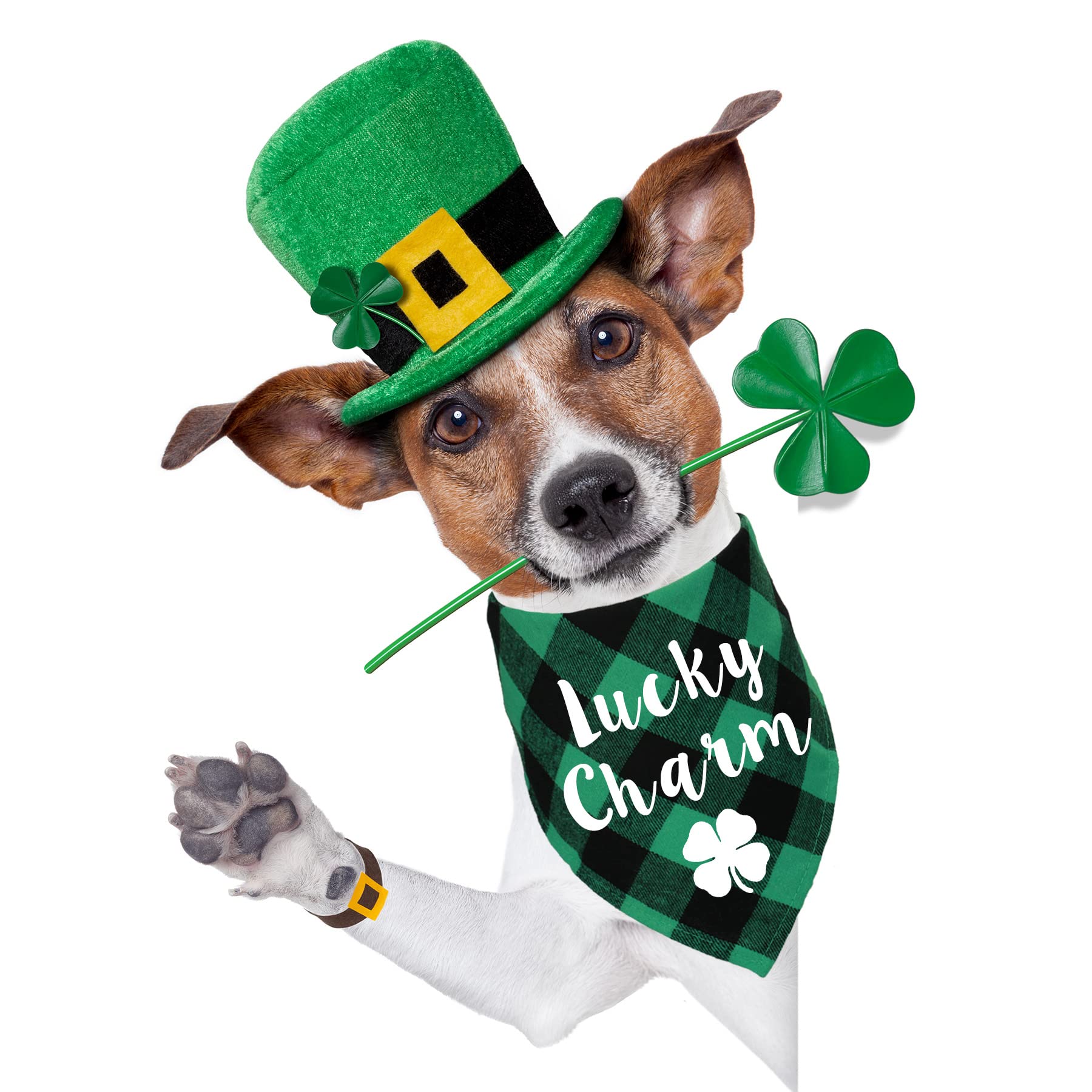 Bandana STMK Saint-Patrick – motif évoquant la fête et la chance.