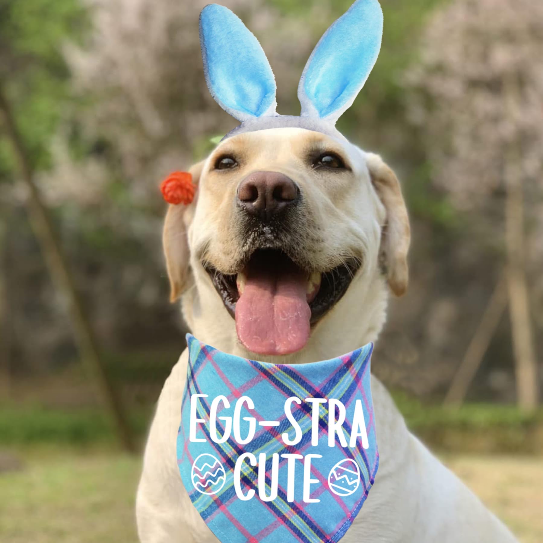 STMK bandeau-lapin-paques-chien: accessoire adorable et créatif.