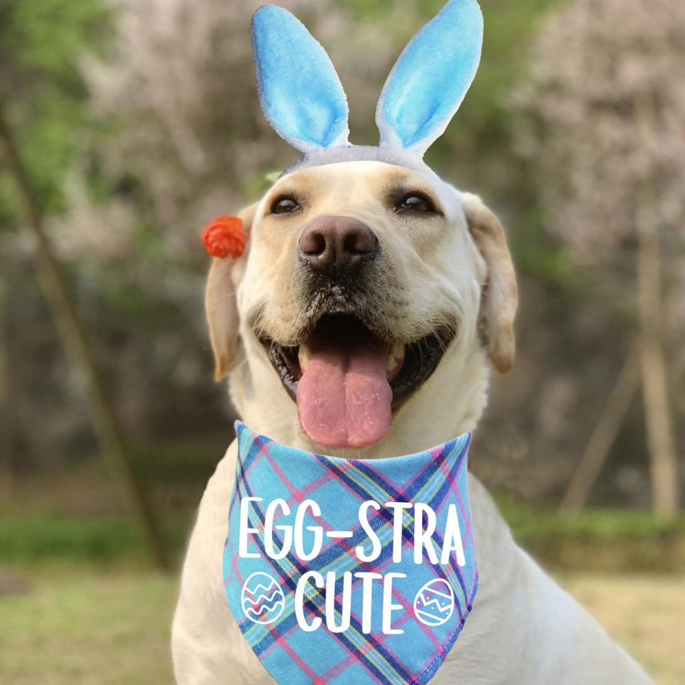 STMK bandeau-lapin-paques-chien: accessoire adorable et créatif.