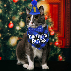 Chapeau STMK anniversaire chat avec cristaux, parfait pour un look élégant réutilisable.