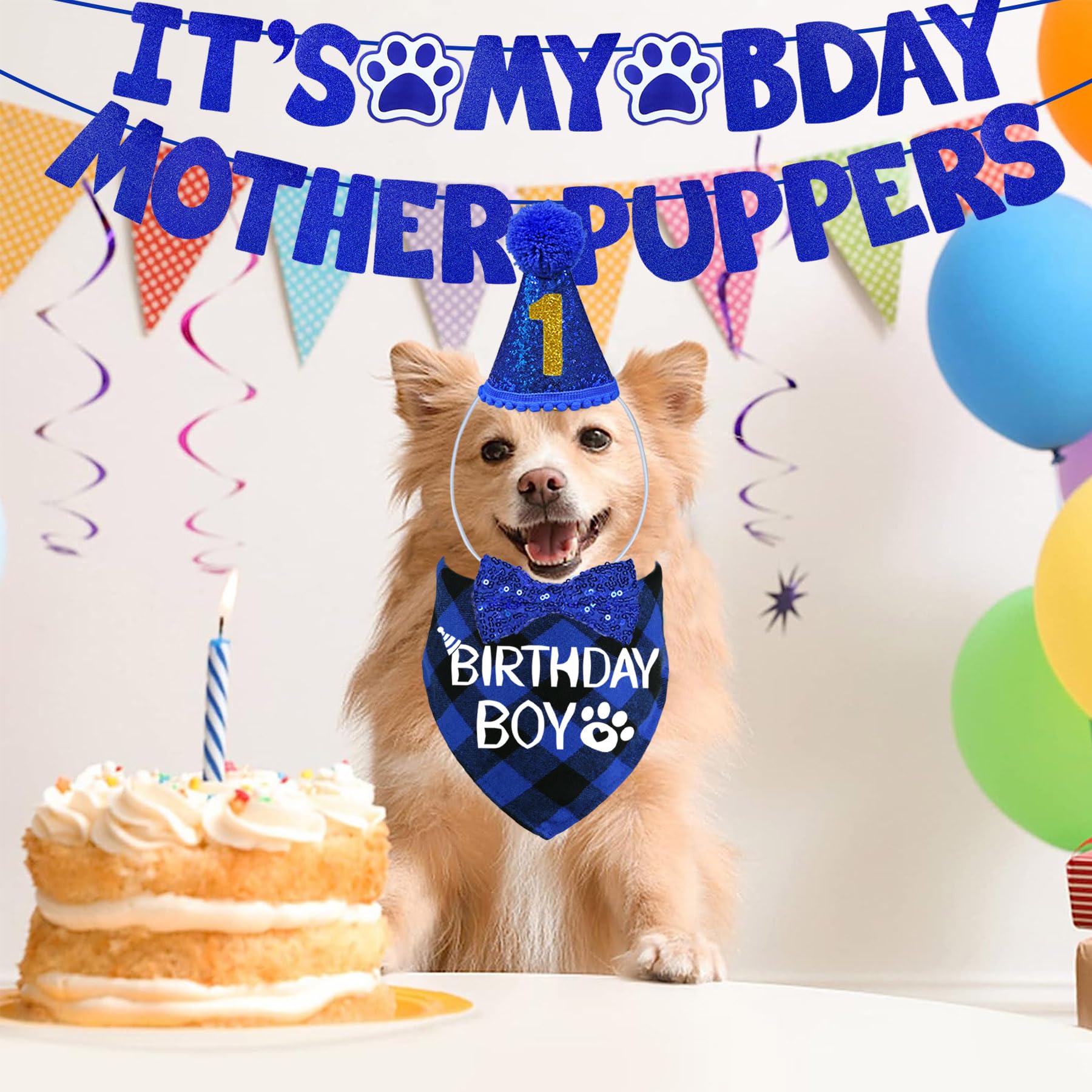 Chapeau STMK d’anniversaire pour chien, réutilisable et facile à porter.