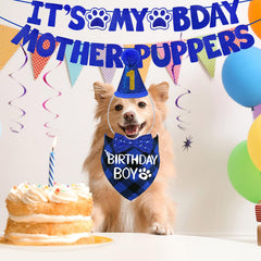 Chapeau STMK d’anniversaire pour chien, réutilisable et facile à porter.