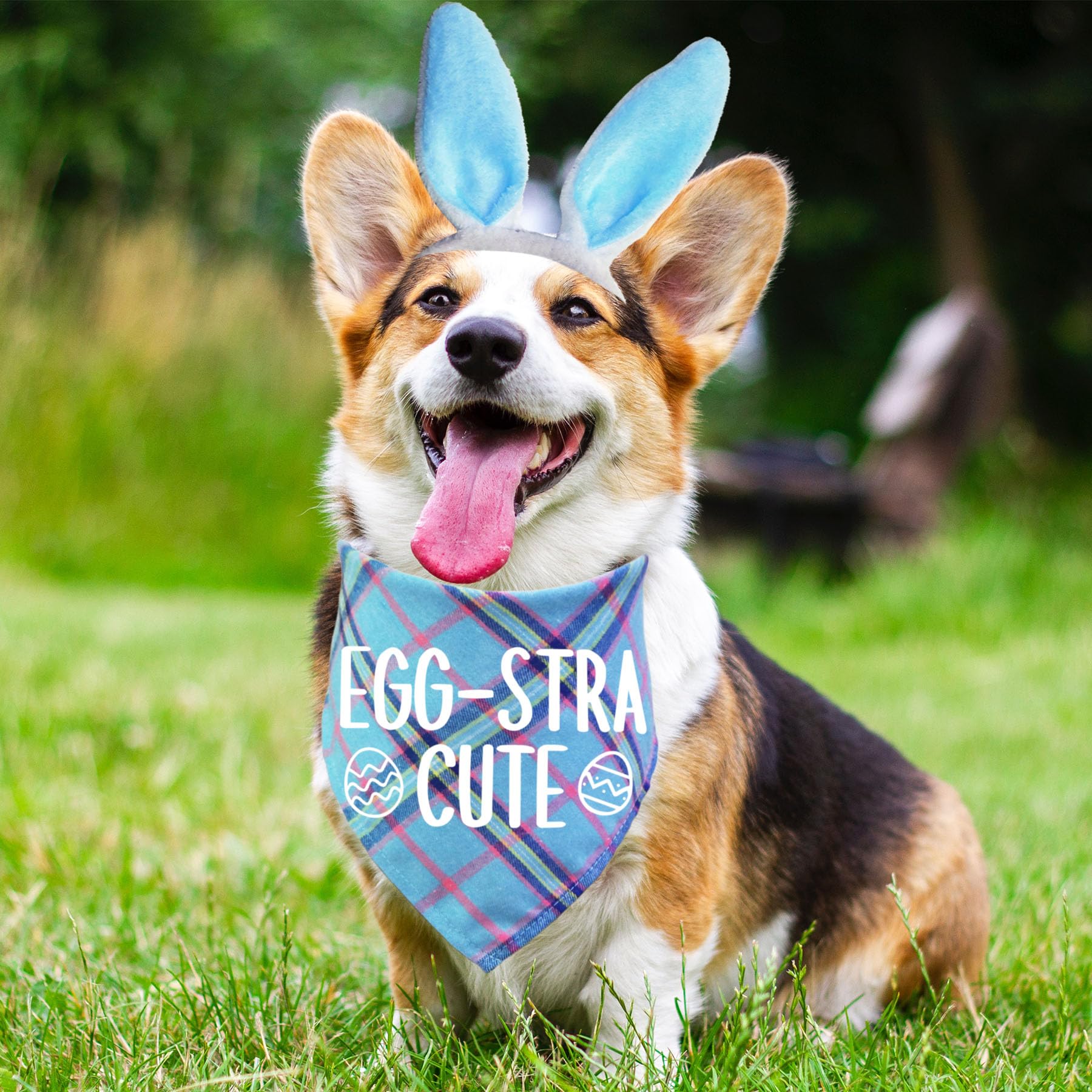 STMK costume-paques-chien-ensemble: option festive pour fêtes et balades.