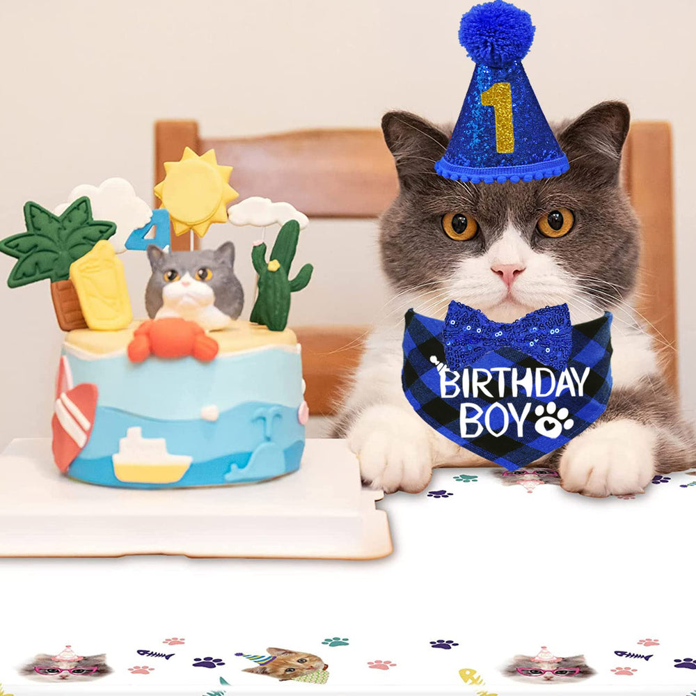 Ensemble décorations STMK pour fête de chat, pratique et prêt à l’emploi.