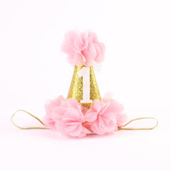 Stock Show chapeau conique d'anniversaire pour chiens et chats, parfait pour les photos festives.