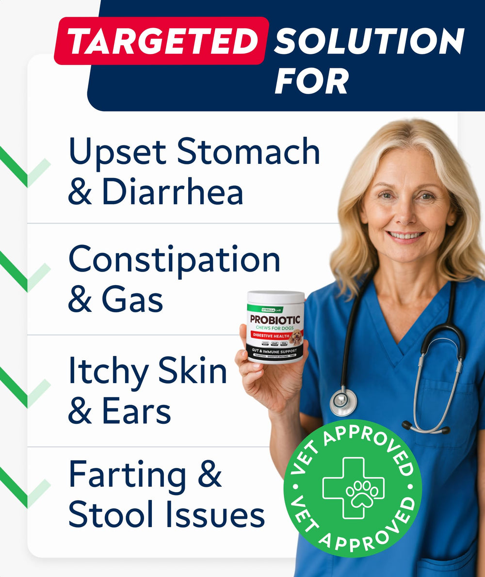 STRELLALAB bocal de 120 gommes – pratique pour digestion.
