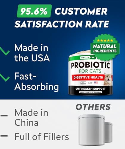 StrellaLab Chat Probiotique — améliore le rituel repas quotidien.