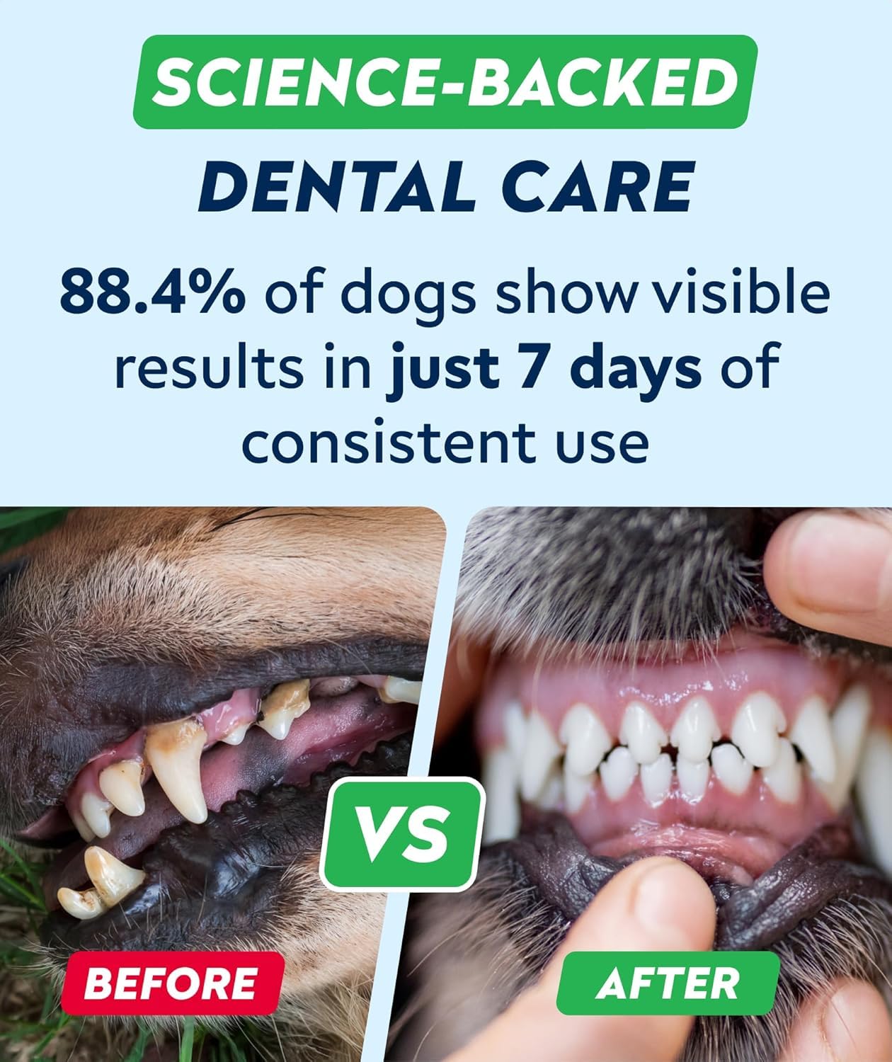 STRELLALAB Gommes dentaires chien ingredients-probiotiques, soutien du microbiome buccal et intestinal