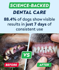 STRELLALAB Gommes dentaires chien ingredients-probiotiques, soutien du microbiome buccal et intestinal