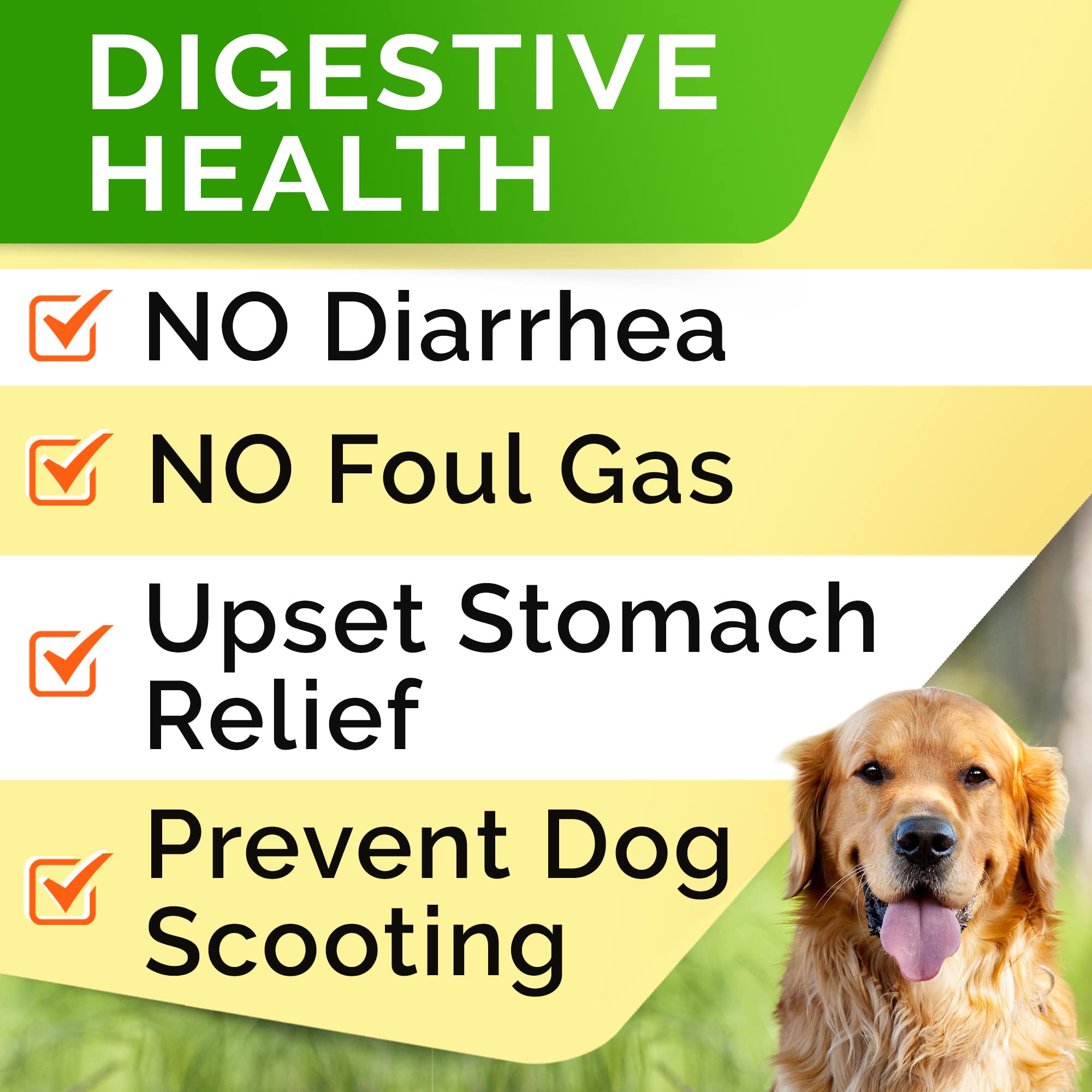 Chien mange StrellaLab bouchées probiotiques, plaisir et confort.