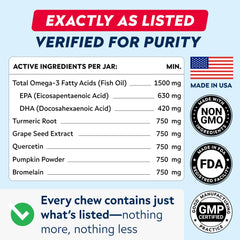 Fabrication USA StrellaLab – sécurité et traçabilité pour chiens.