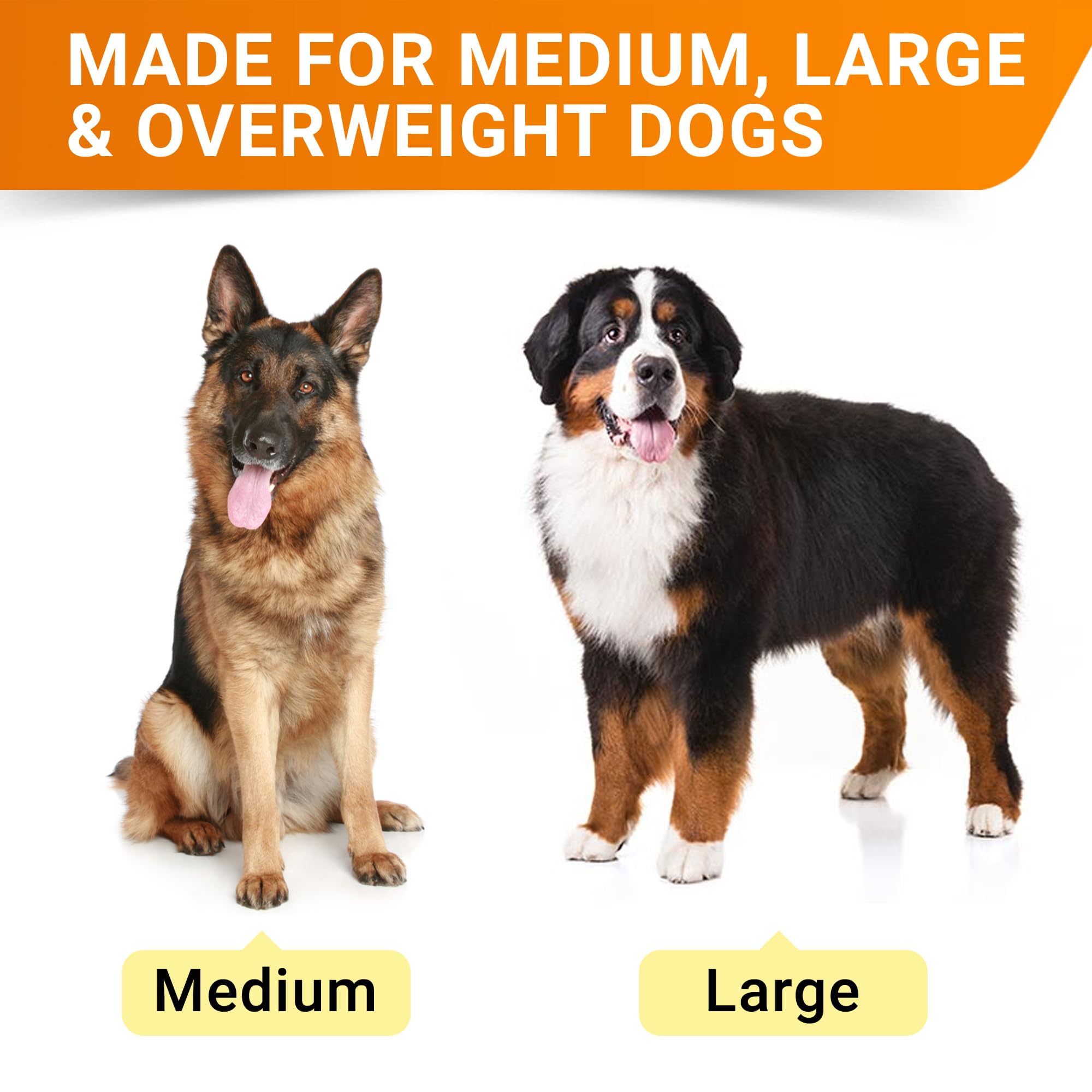 STRELLALAB Chondroïtine MSM pour chiens, friandises bacon soutenant les articulations.