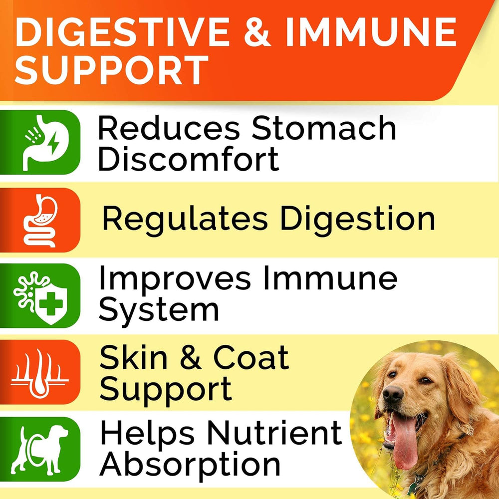 STRELLALAB digestion quotidienne chien – bouchées probiotiques pour confort digestif.