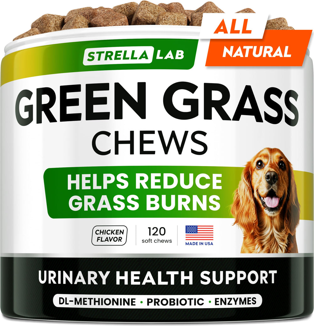 STRELLALAB friandises herbe verte pour chien dans un emballage pratique