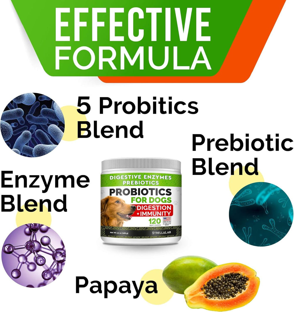 STRELLALAB enzymes papaye chien – supplément naturel pour l’assimilation.