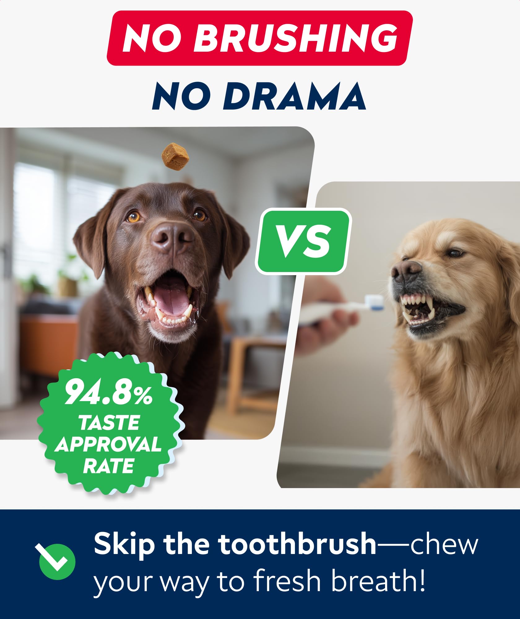STRELLALAB fabriqué aux États‑Unis, friandises dentaires pour chiens de toutes tailles.