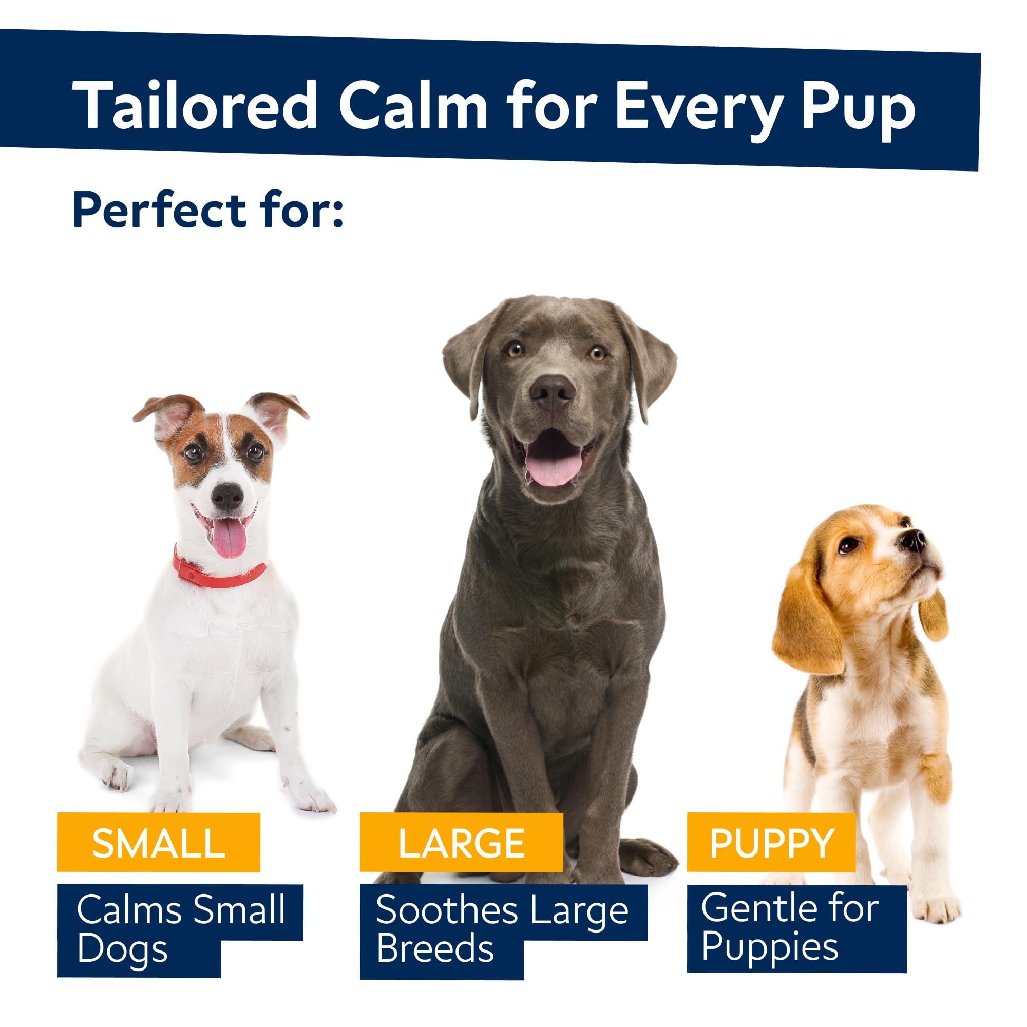 STRELLALAB friandises chanvre pour chien, chien reposant sur un coussin après la dégustation.