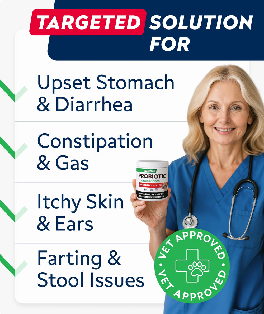 STRELLALAB friandises probiotiques et enzymes chien pour confort digestif.