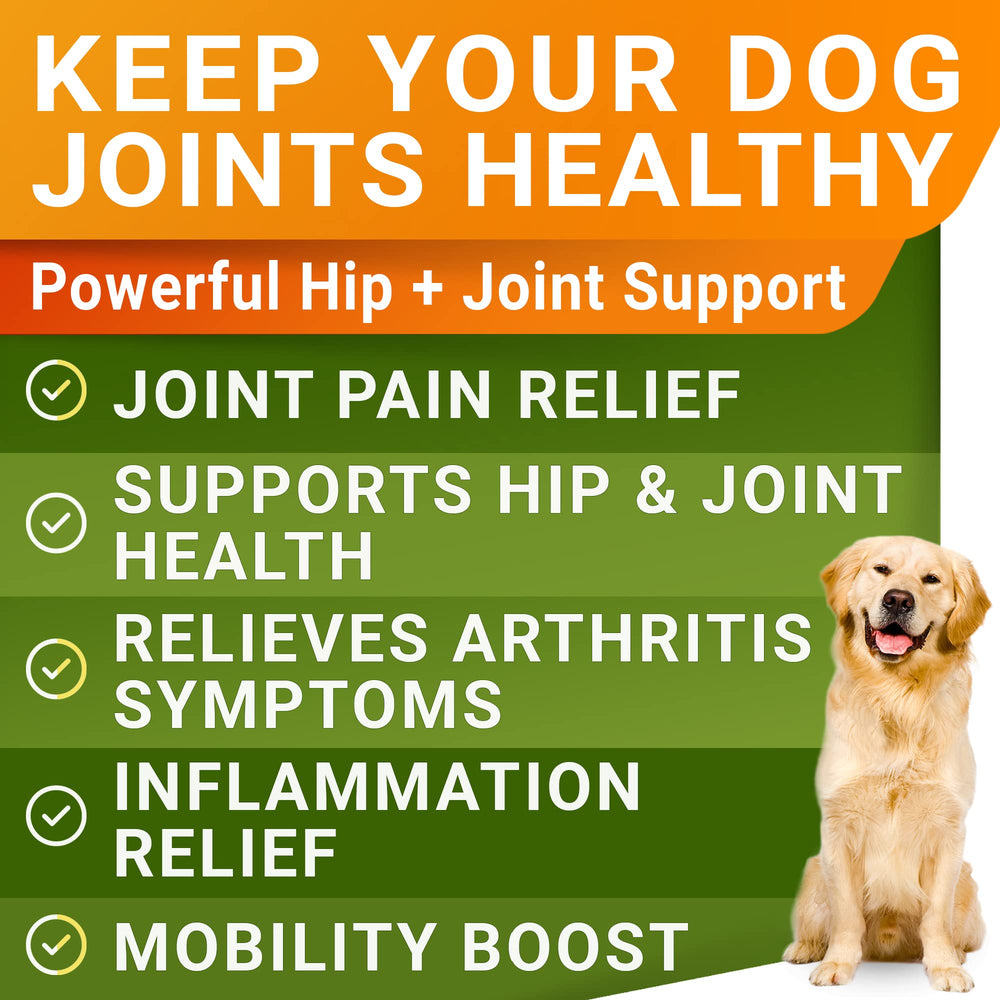 STRELLALAB glucosamine liquide chien — soutien quotidien des articulations.
