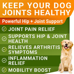 STRELLALAB glucosamine liquide chien — soutien quotidien des articulations.