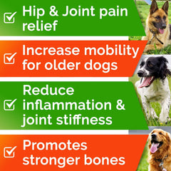 Gommes STRELLALAB glucosamine-chondroitine pour le cartilage et la mobilité.