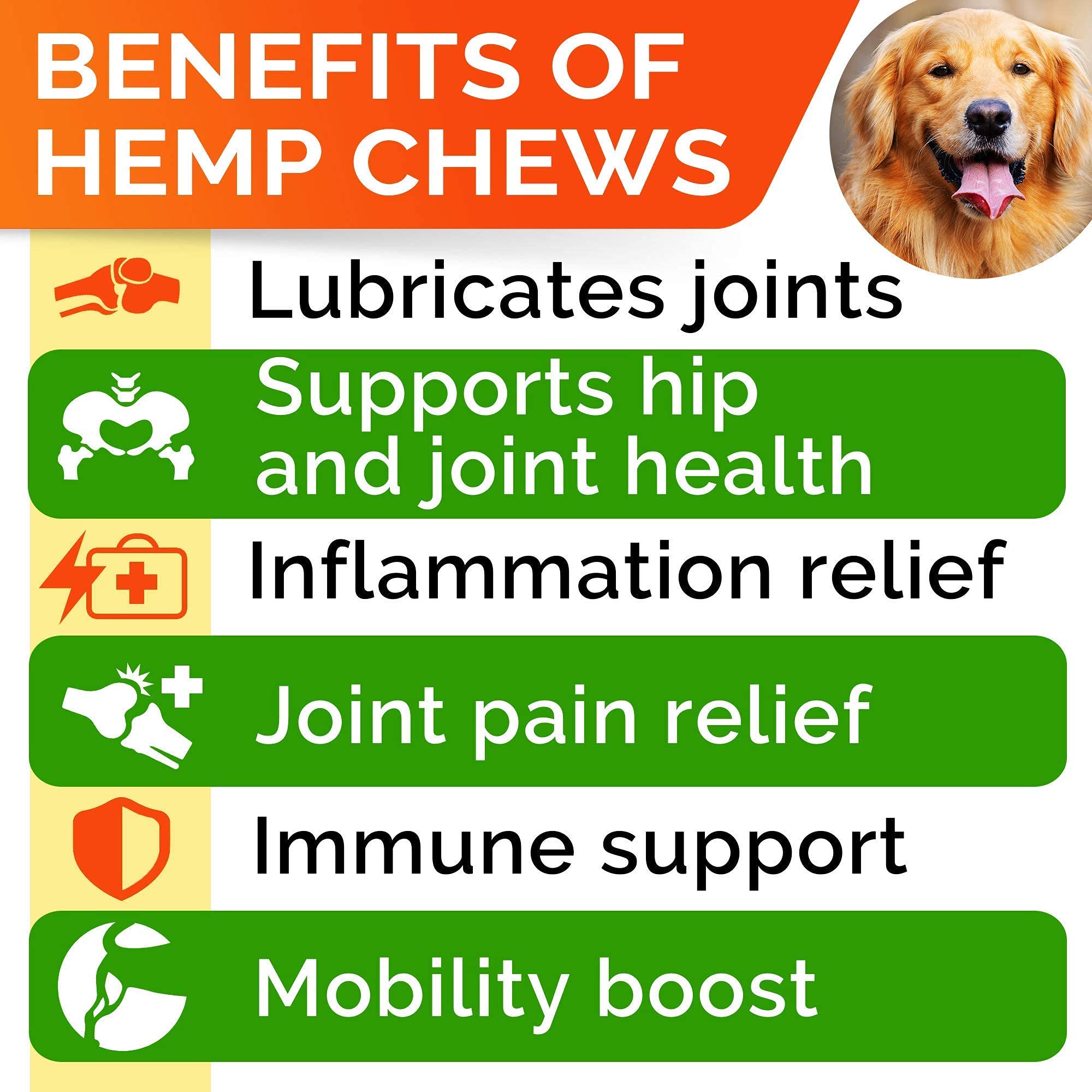 Gommes STRELLALAB pour mobilité canine – soutien articulation et allure fluide.