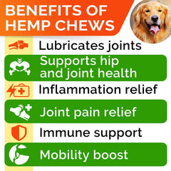 Gommes STRELLALAB pour mobilité canine – soutien articulation et allure fluide.