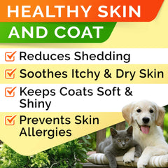 StrellaLab huile saumon, pelage brillant et peau saine chez le chien.