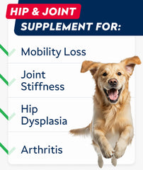 Ingrédients STRELLALAB glucosamine et chondroïtine pour soutien articulaire