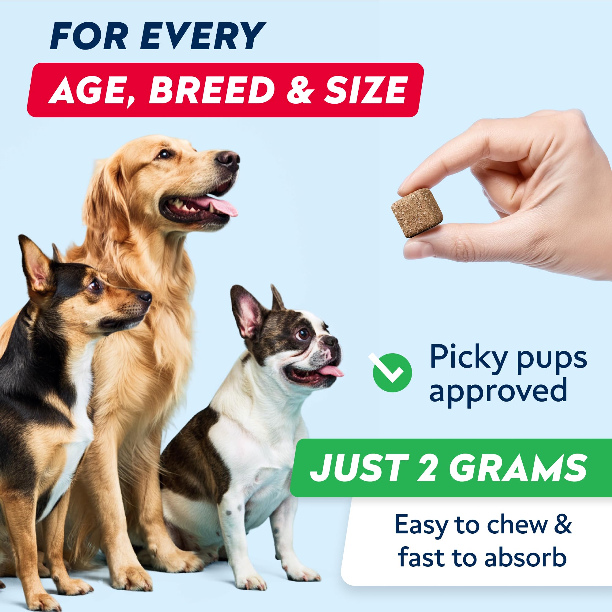 STRELLALAB ingrédients probiotiques chien, qualité et sécurité