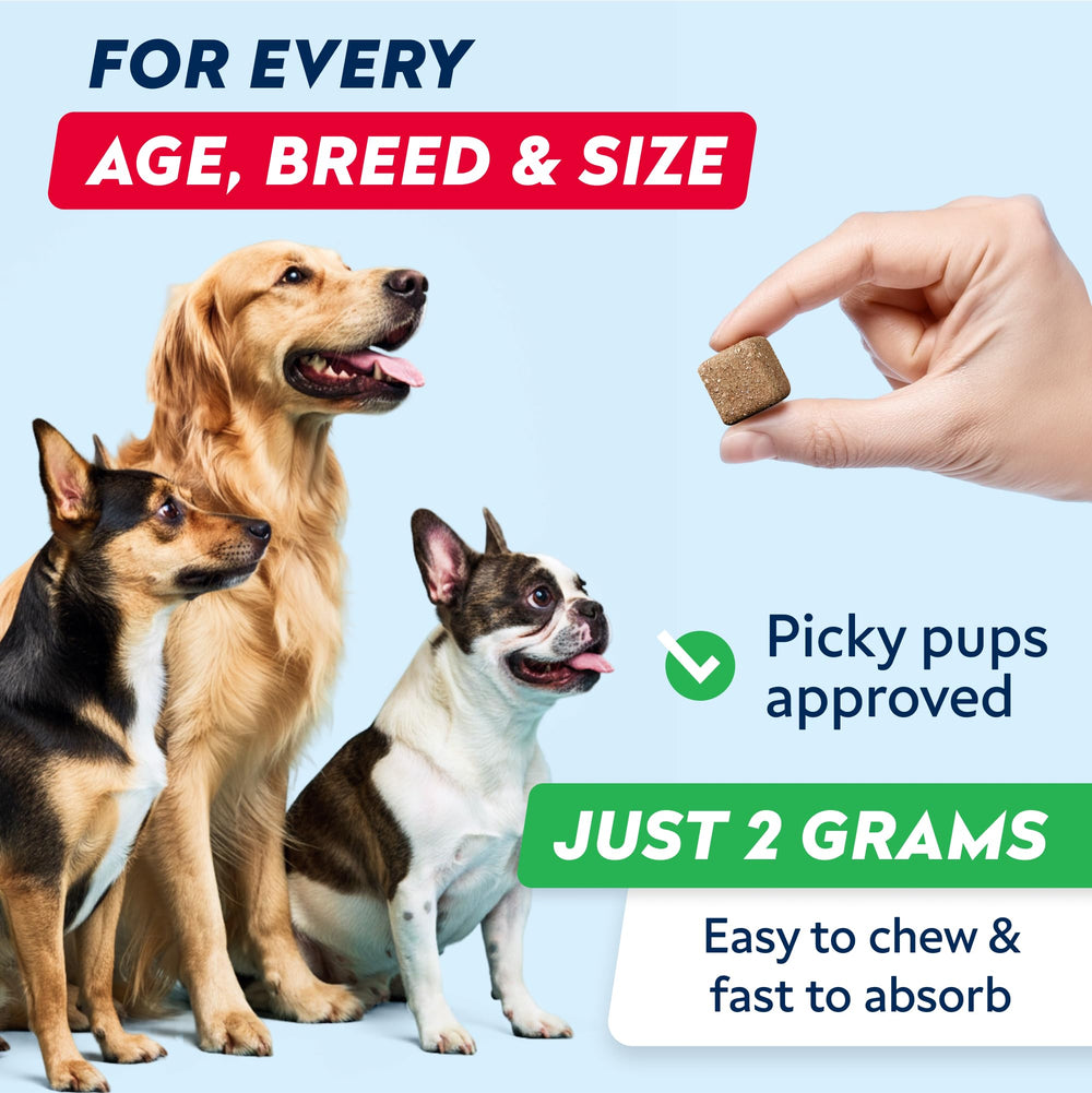 STRELLALAB ingrédients probiotiques chien, qualité et sécurité