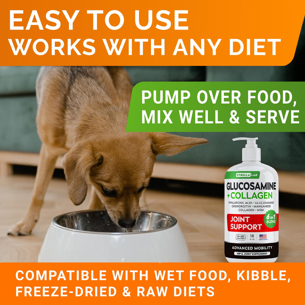 STRELLALAB MSM et glucosamine chien — mobilité durable au quotidien.